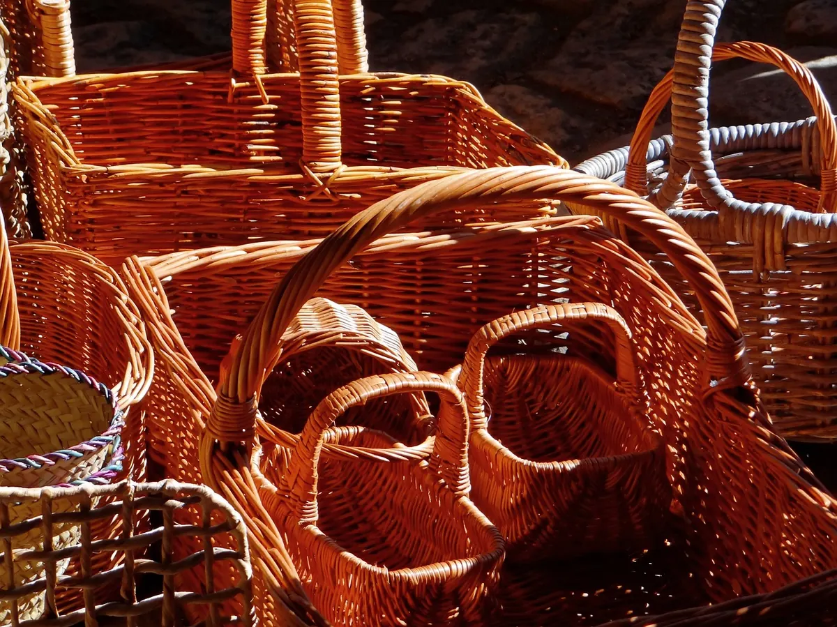 Growing Willow for Basketry: Harvesting and Weaving Basics
